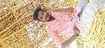 Shekar 