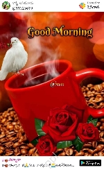 Shyam. I