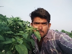 Suleman Sab