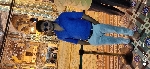 Shaik Ashruf Ali