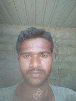 venkatesha n s